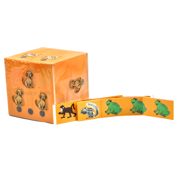 Picture Dice With Sticker Sheet